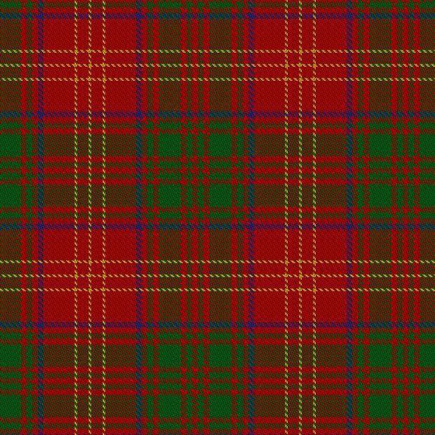 Burns Tartan Kilt - Kilt Kingdom