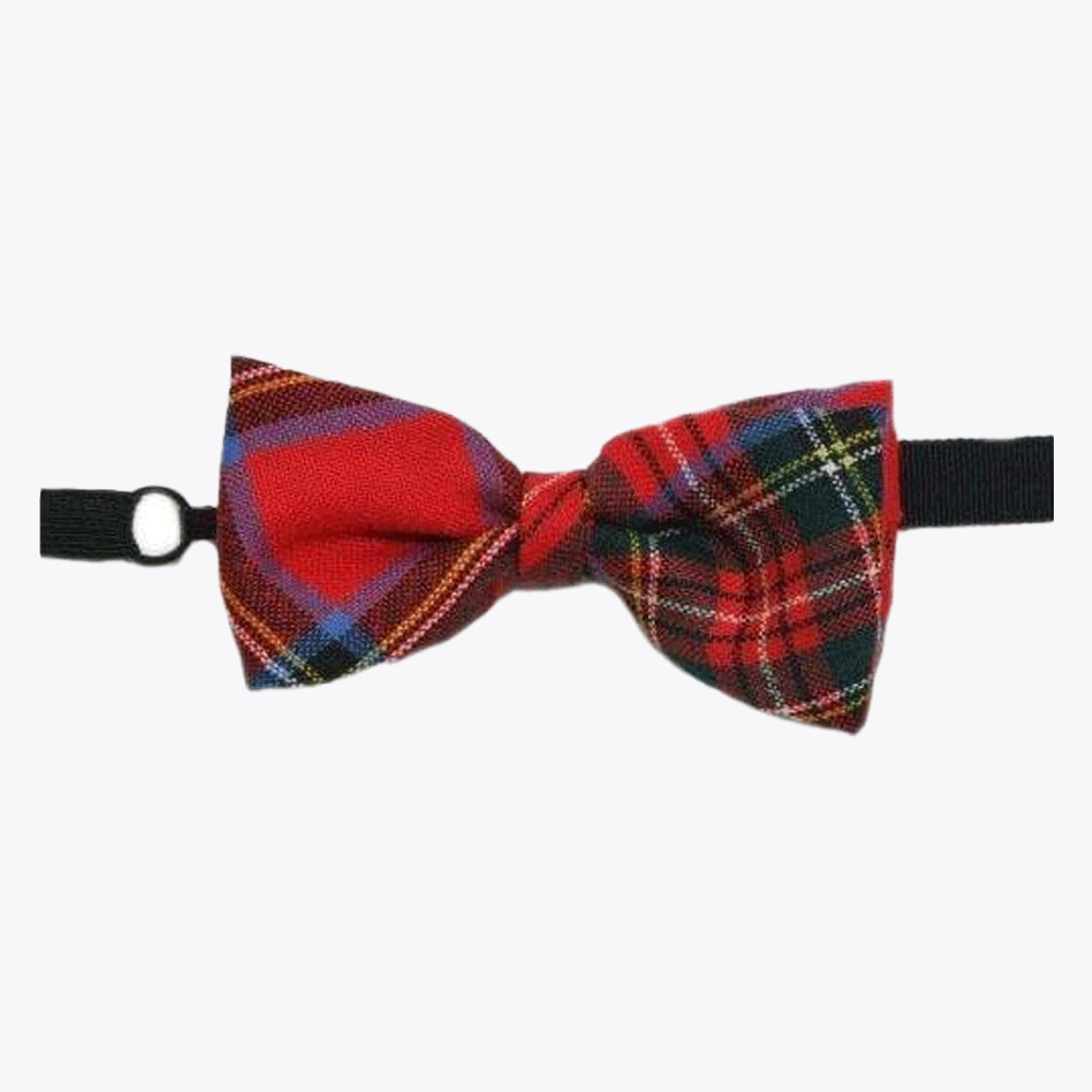 Stewart Royal Modern Tartan Bow Tie - Kilt Kingdom