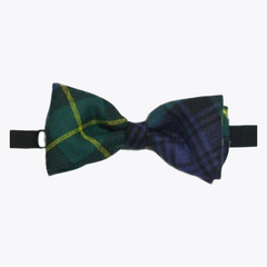 Gordon Modern Tartan Bow Tie